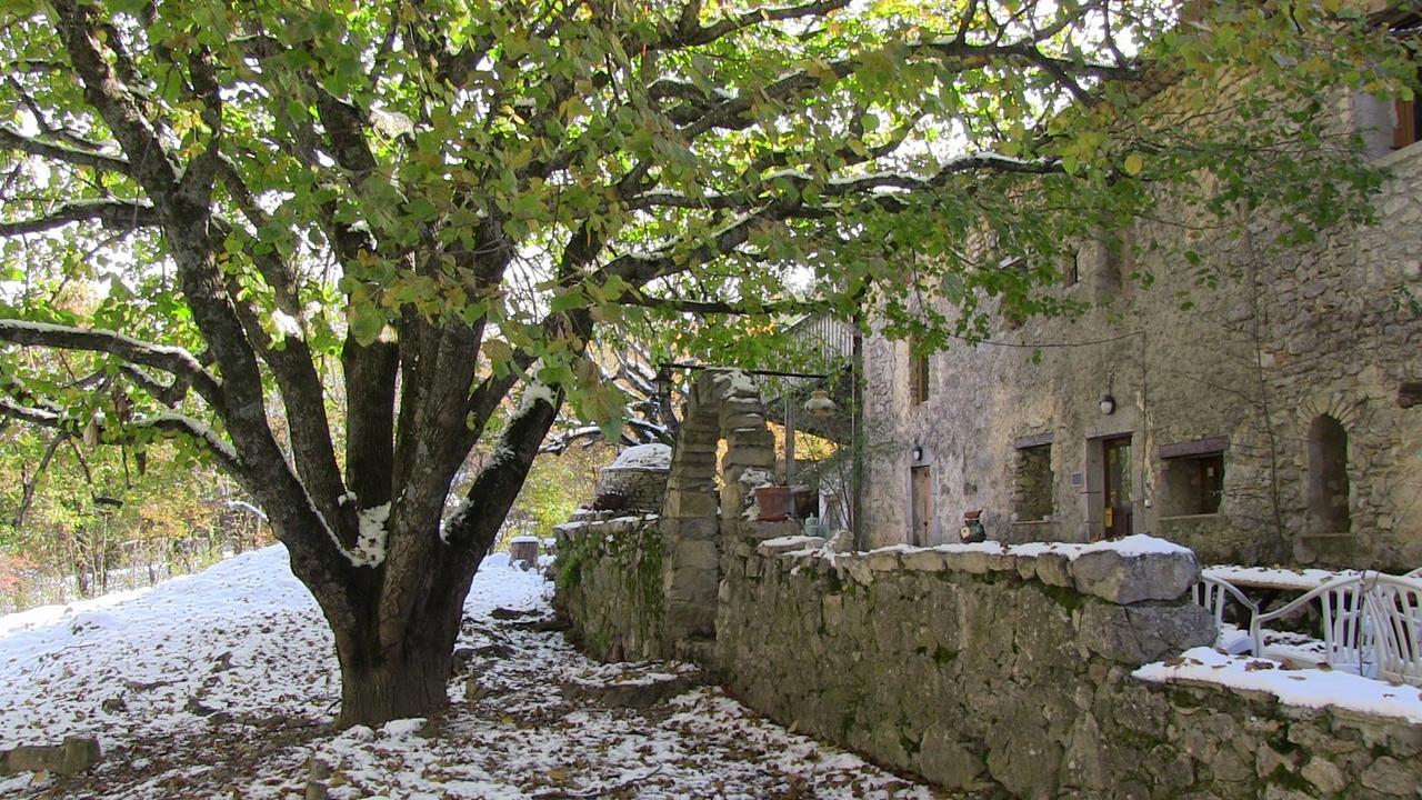 Danse L'Ombre Bed & Breakfast Curel Exterior foto